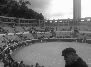 Taurino