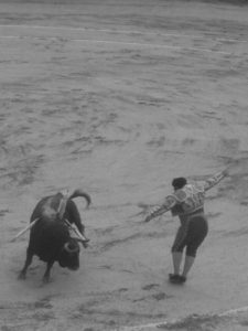 Taurino