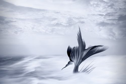 Sueños