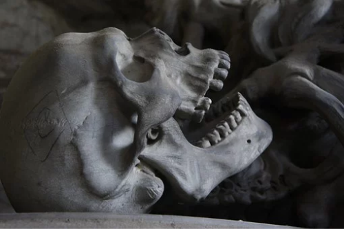 Calavera