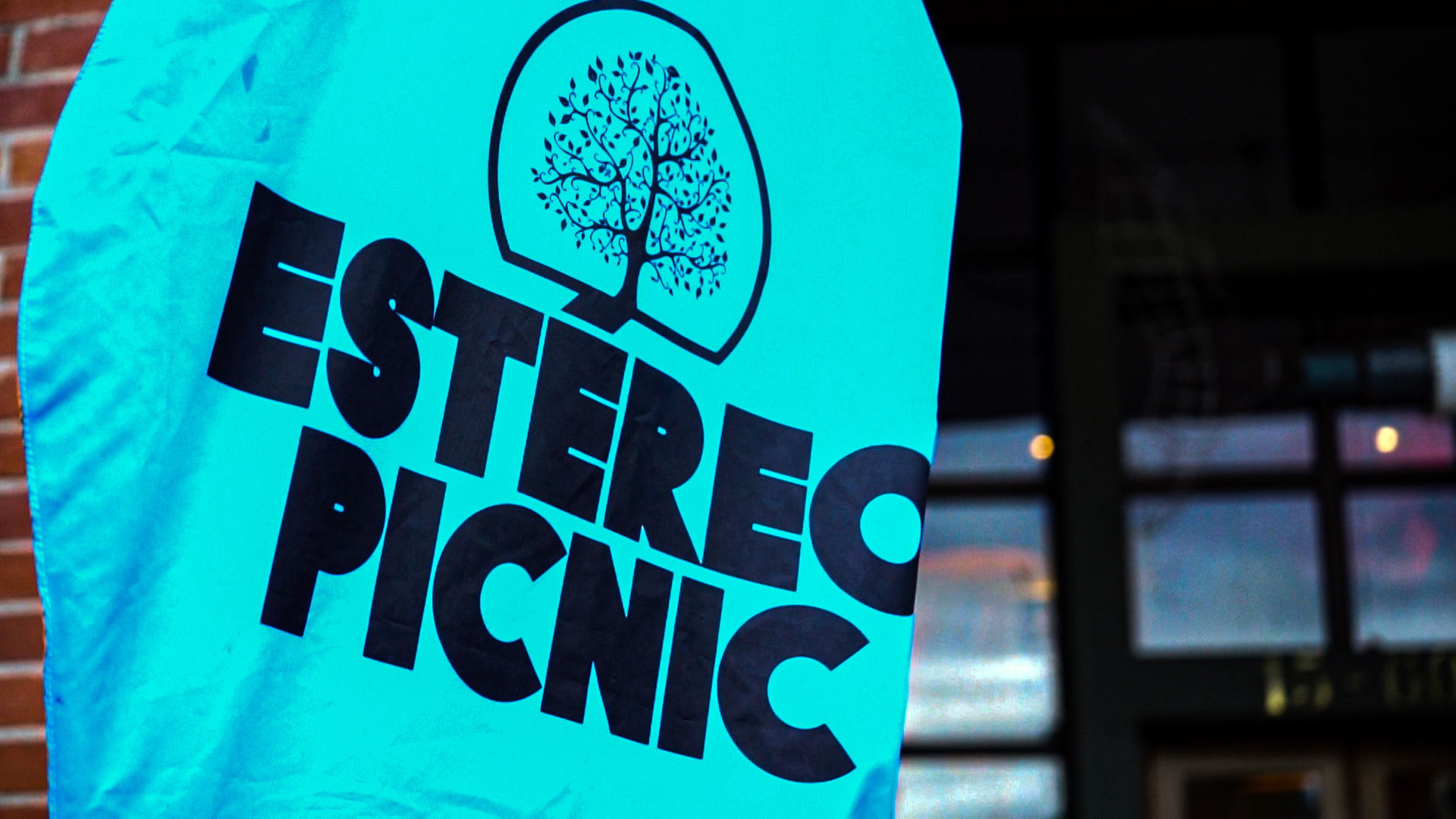 selina-estereo-picnic