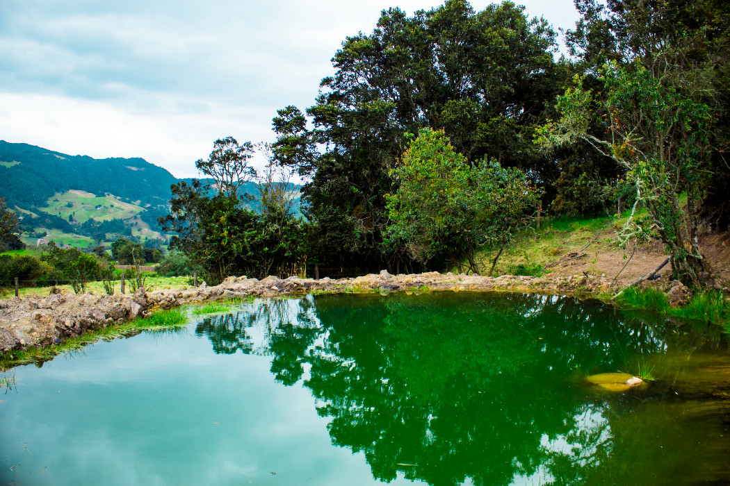 Páramos Agua y Vida