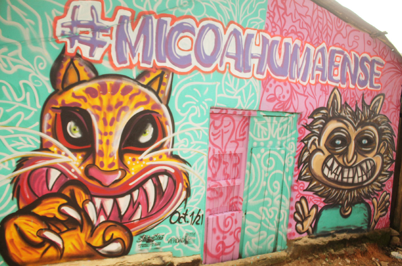 Micoahumado