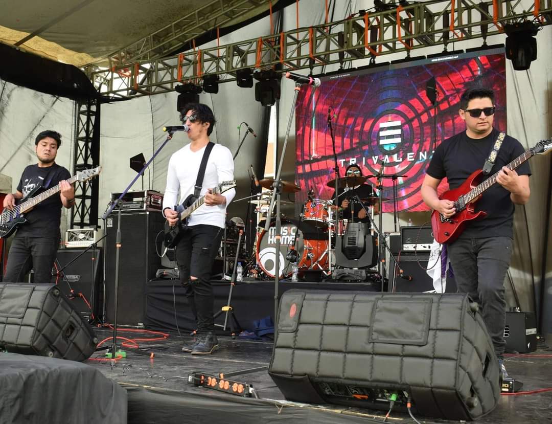 Ensamble Trivalente - Pics Vivo (4)